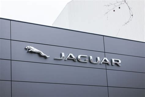 Paolo Gucci's Collaboration With Jaguar Withdrawn